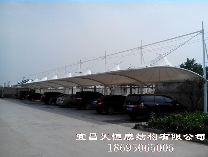 隨州隨縣天星糧油科技公司 隨州隨縣天星糧油科技公司